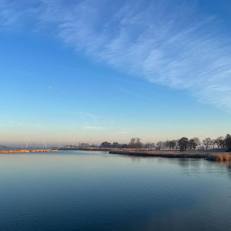 Hausboot Der Frieslaender Im Wangermeer Schillig Eksteriør bilde